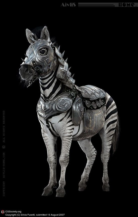 Zebra Armour, Silvia Fusetti