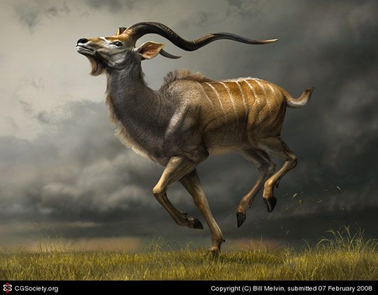 Charging Kudu, Bill Melvin