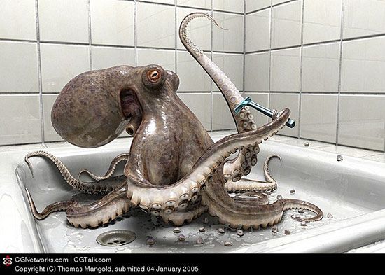 Octopus In The Bathroom, Thomas Mangold