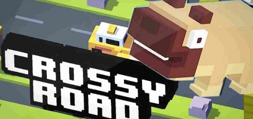 grossy road